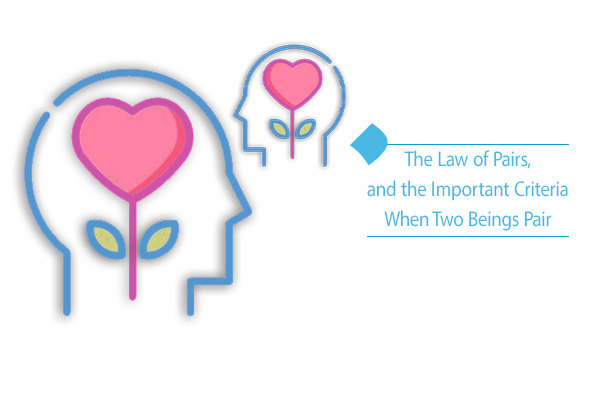 Examining the Law of Pairs and its role in humanology