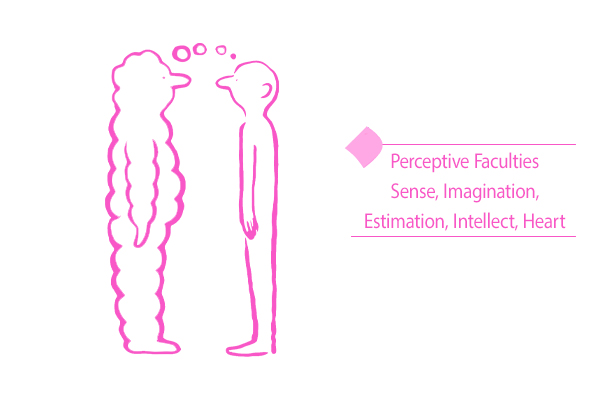 What role do the perceptive faculties of the soul play in our lives?