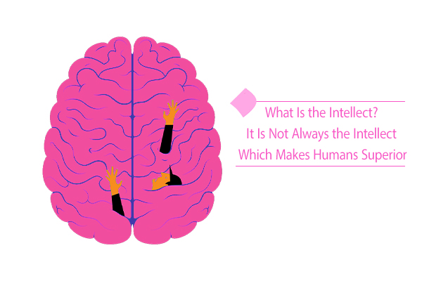 What is the intellect? Is it located inside the brain?