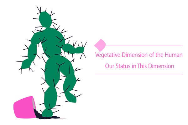 How does the vegetative dimension of the human affect us?