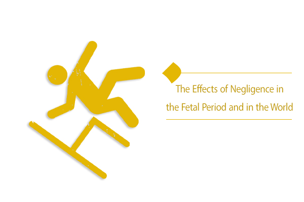 Irreparable Effects of Negligence in the Mother's Womb and World