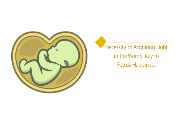 Necessity of Acquiring Light in the Womb, Key to Fetus’s Happiness