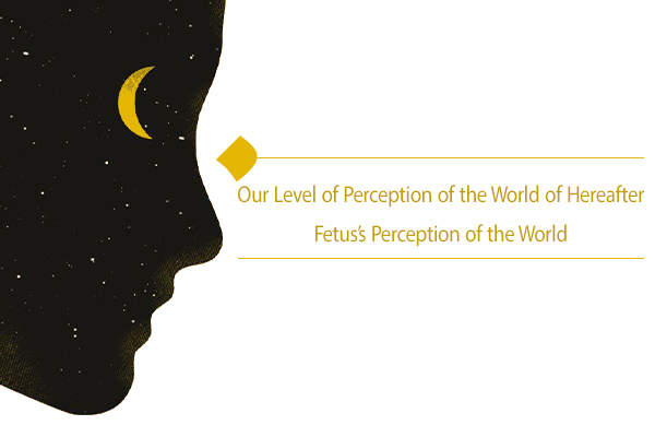 "Our Level of Perception of the World of Hereafter Fetus’s Perception of the World"