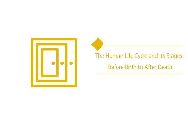 What is the origin and destination in the human life cycle?