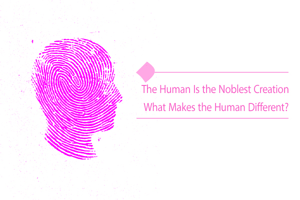 The human is the noblest creation due to the supra-rational faculty